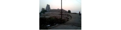 226. திருஅறையணி நல்லூர்